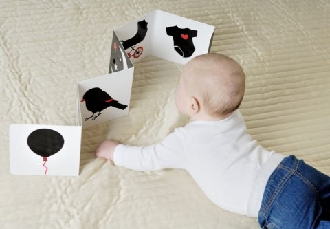 Harmonijka - kontrastowa książeczka dla niemowlaków