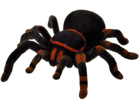 Pająk RC - zdalnie sterowany na pilota