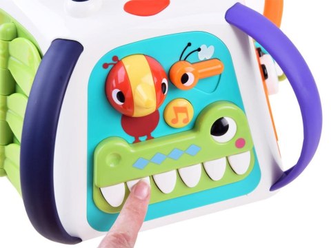 Hola interaktywna edukacyjna multikostka