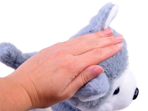 Interaktywny PIES piesek HUSKY na smyczy