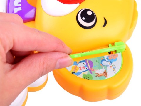 Kolorowe PIANINKO organki odgłosy zwierząt