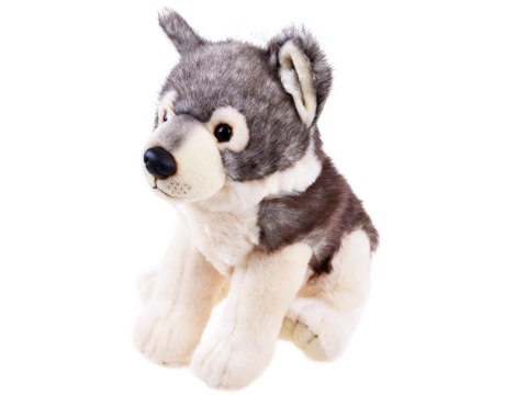 Maskotka Pluszak WILK szary wilczek 23cm
