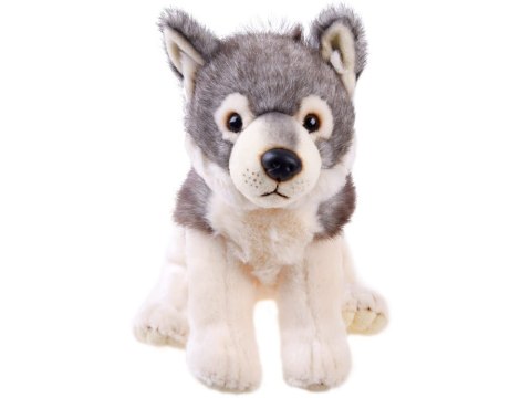 Maskotka Pluszak WILK szary wilczek 23cm