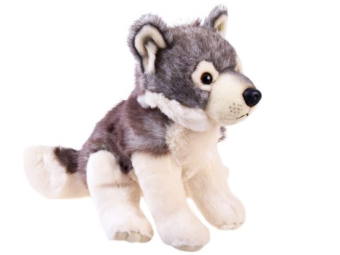 Maskotka Pluszak WILK szary wilczek 23cm