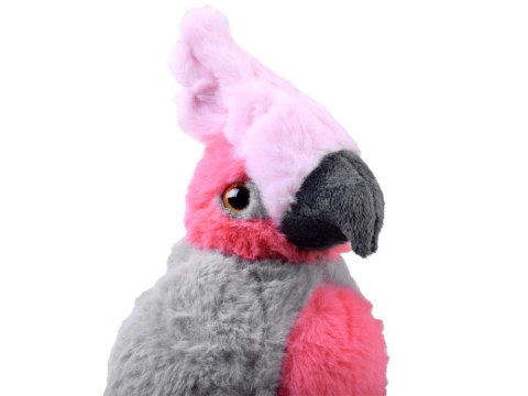 Maskotka pluszowa PAPUGA różowa Kakadu 22cm