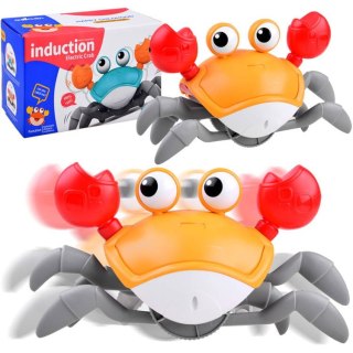 Uciekający KRAB zabawka do raczkowania