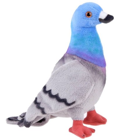 Maskotka pluszowy GOŁĄB miejski 22cm pluszak gołąbek