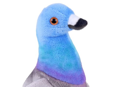 Maskotka pluszowy GOŁĄB miejski 22cm pluszak gołąbek