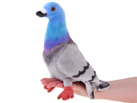 Maskotka pluszowy GOŁĄB miejski 22cm pluszak gołąbek