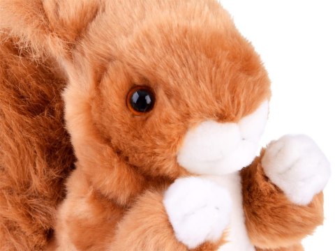 Maskotka ruda WIEWIÓRKA pospolita 22cm pluszowa pluszak