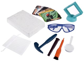 WYKOPALISKA skamieliny OWADY bursztyny MAŁY ARCHEOLOG