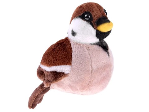 Maskotka WRÓBEL zwyczajny wróbelek ptaszek pluszak 13cm