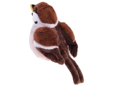 Maskotka WRÓBEL zwyczajny wróbelek ptaszek pluszak 13cm