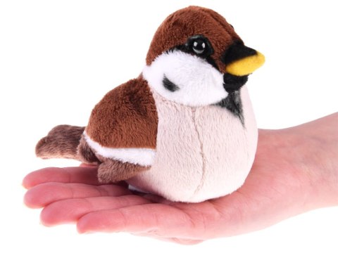 Maskotka WRÓBEL zwyczajny wróbelek ptaszek pluszak 13cm