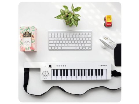 Organy Elektroniczne Keyboard z uchwytem muzyczna zabawka 37 klawiszy