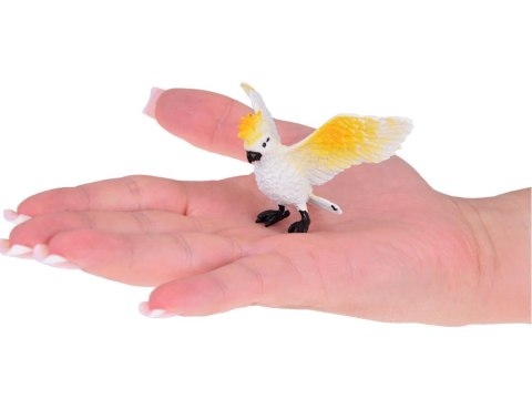 Zestaw Figurki kolorowe Ptaki egzotyczne zwierzątka 10 szt.