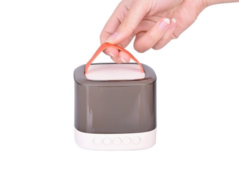 Mikrofony z głośnikiem bezprzewodowy + bluetooth + 2 mikrofony