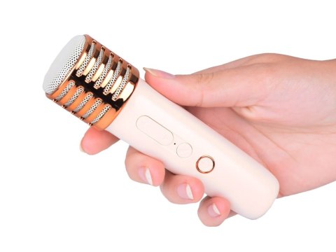 Mikrofony z głośnikiem bezprzewodowy + bluetooth + 2 mikrofony