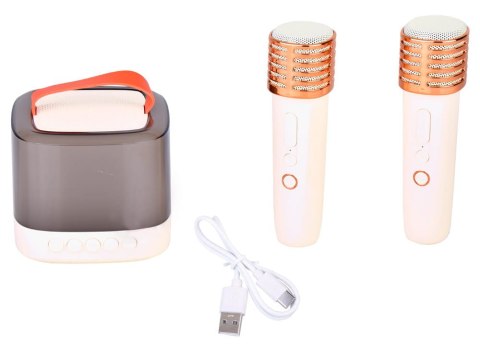 Mikrofony z głośnikiem bezprzewodowy + bluetooth + 2 mikrofony