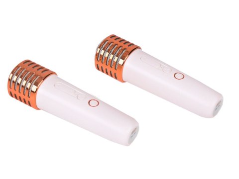 Mikrofony z głośnikiem bezprzewodowy + bluetooth + 2 mikrofony