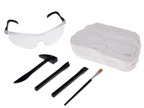 Zestaw archeologiczny Wykop niespodziankę skamieniałe CZASZKI