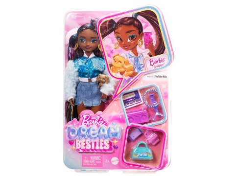 Mattel Lalka Barbie Dream Besties Brooklyn z akcesoriami ZA6700