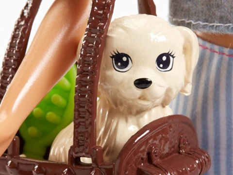 Mattel Barbie ze zwierzątkami lalka zestaw z akcesoriami ZA6706